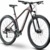 R Raymon HardRay Nine 2.0  (2022) - 29 Zoll  21K Diamant - purple / black