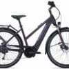 PEGASUS Solero Evo 9 (2022) - 28 Zoll 625Wh 9K Trapez - deep berry matt