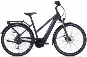 PEGASUS Solero Evo 9 (2022) - 28 Zoll 625Wh 9K Trapez - deep berry matt