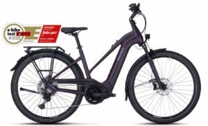 PEGASUS Premio Evo 11 40 Years (2022) - 28 Zoll 750Wh 11K Trapez - dark berry matt/black matt