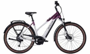 BULLS Cross EVO 750 (2022) - 29 Zoll 750Wh 9K Trapez - dark berry/light grey