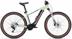 BULLS E-Stream EVO 1 29 (2022) - 29 Zoll 740Wh 10K Diamant - pistachio/black