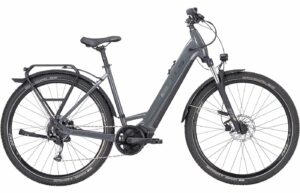 BULLS Cross Flyer EVO 2 (2023) - 29 Zoll 750Wh 9K Wave - nano grey