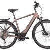 Hercules Pasero I-10 (2022) - 28 Zoll 750Wh 10K Diamant - braun-matt
