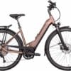 Hercules Pasero I-10 (2022) - 28 Zoll 750Wh 10K Wave - braun-matt