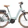 Riese & Müller Swing Rücktritt (2023) - 26 Zoll 500Wh 8N-RT Wave - salvia matt