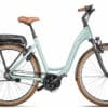 Riese & Müller Swing Rücktritt (2022) - 28 Zoll 500Wh 8N-RT Wave - salvia matt