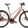 Riese & Müller UBN Seven silent (2022) - 28 Zoll 430Wh 8N Trapez - rose