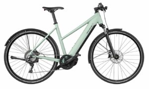 Riese & Müller Roadster Mixte touring (2023) - 28 Zoll 625Wh 11K Trapez - salvia matt