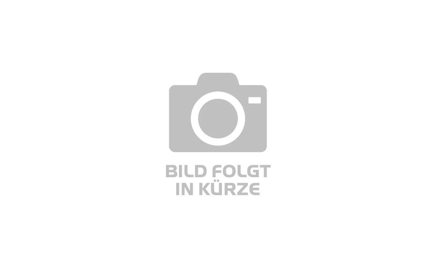 Riese & Müller Cruiser2 Mixte silent Testbike (2023) - 28 Zoll 545Wh 8N Trapez - cream