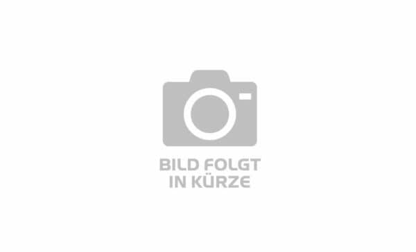 KTM MACINA STYLE XL (2023) - 28 Zoll 750Wh 11K Trapez - machine grey (silver+black)