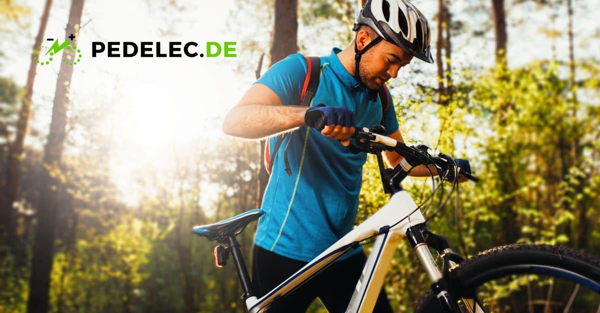 S-Pedelecs (45 km/h) - Riesen Auswahl hier bei Pedelec.de